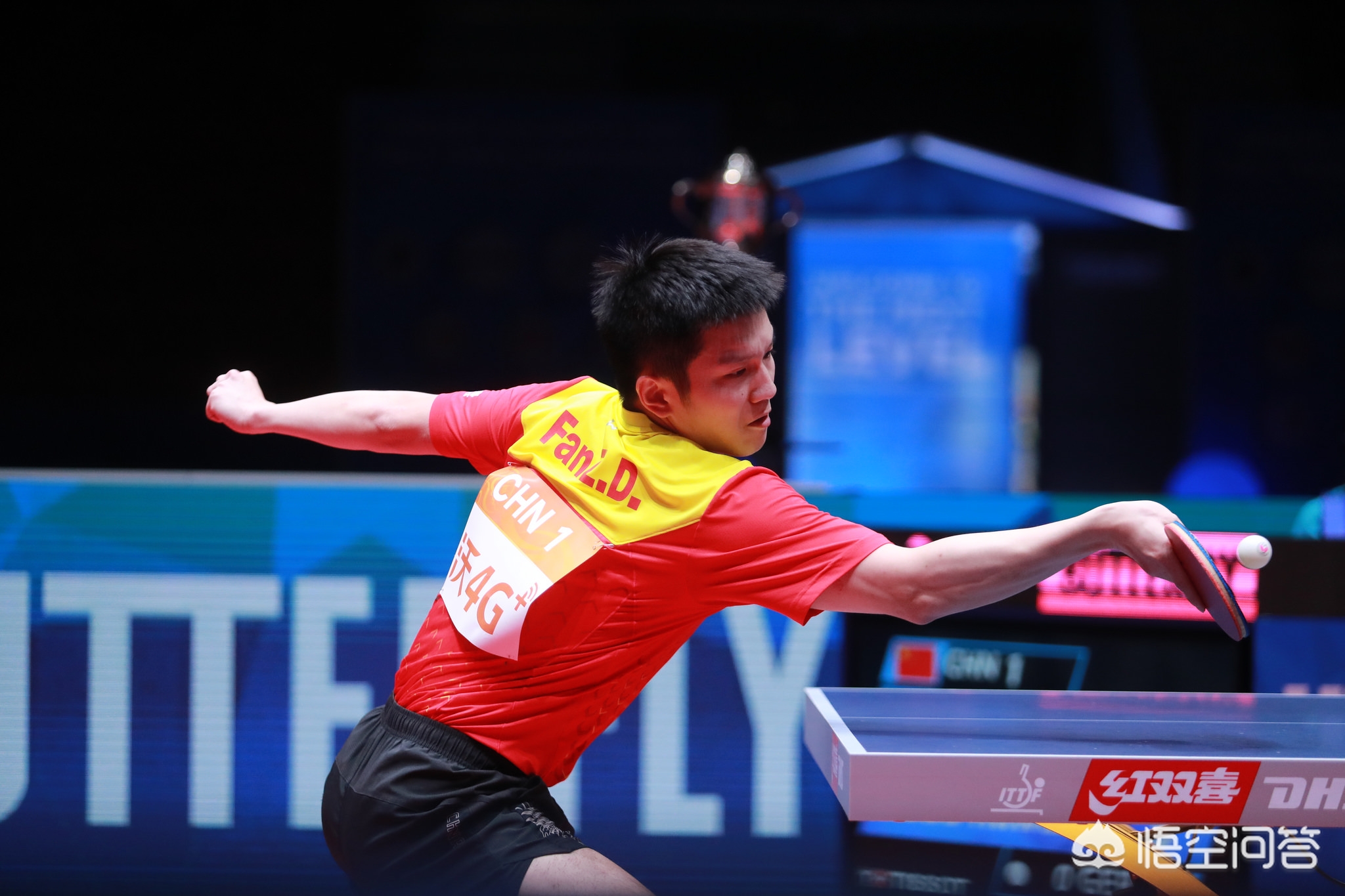 优势放大 优势放大